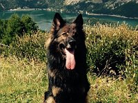 Shani